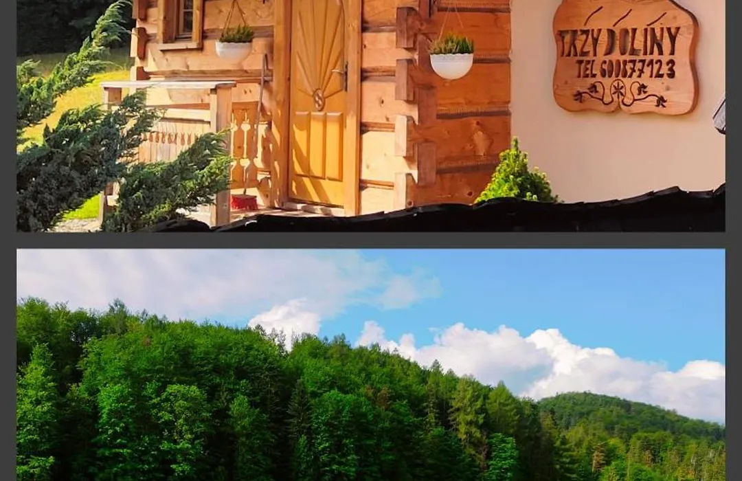 Domek Trzy Doliny Zakopane - Three Valleys Chalet Grill&Jacuzzi-1