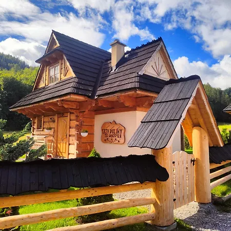 Domek Trzy Doliny Zakopane - Three Valleys Chalet Grill&Jacuzzi-2
